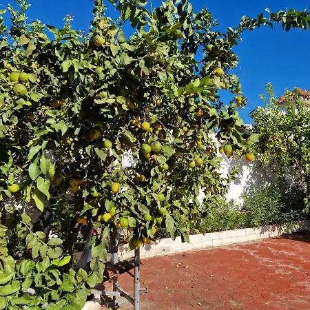 Aparthotel Costa Marbella